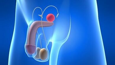 Lubrication in men during excitement what it is